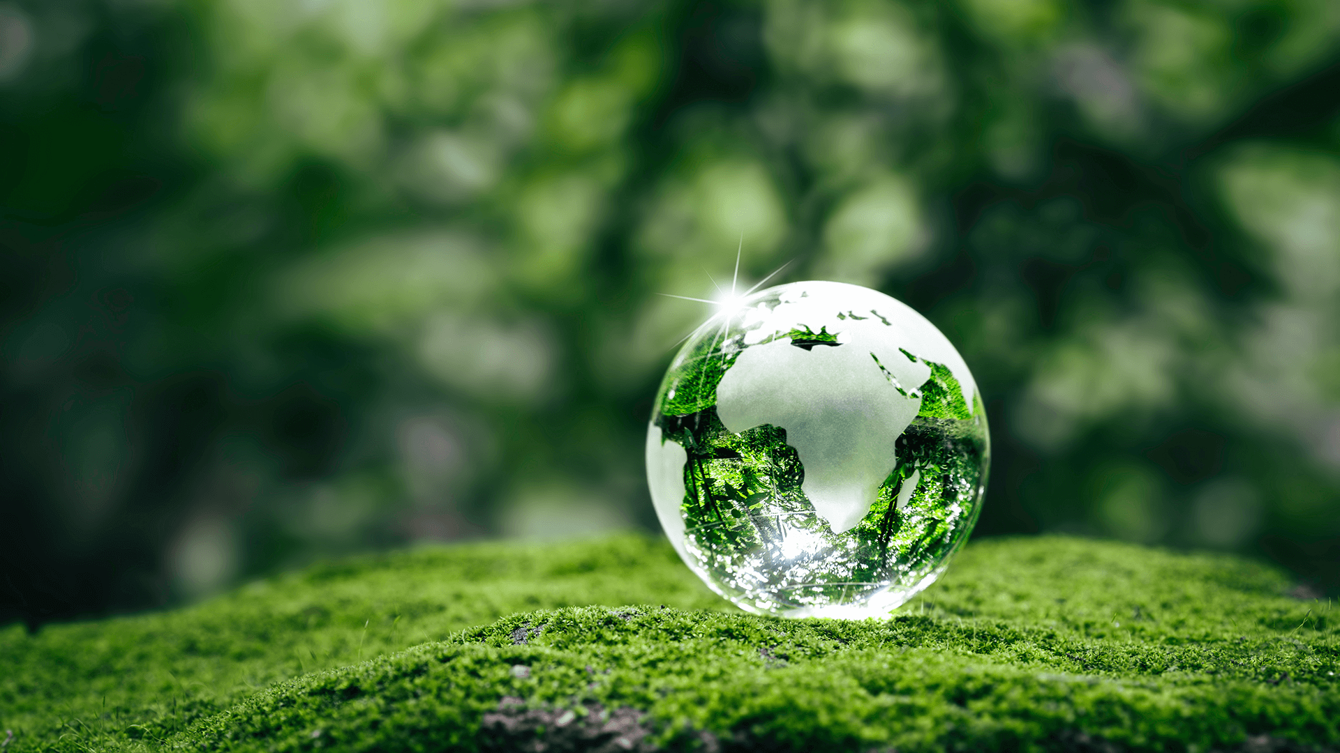Ein Glasglobus mit einer Karte von Afrika und Europa ruht auf üppigem grünen Moos, das das Sonnenlicht reflektiert. Der Hintergrund ist mit unscharfem Grün gefüllt, das die Natur und den Umweltschutz symbolisiert.